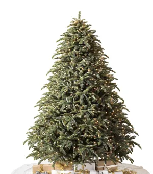 Balsam Hill  Noble Fir Christmas Tree (7ft)