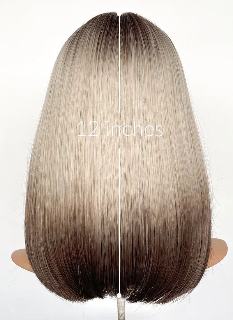 Blonde Brown Ombre Curtain Bangs Straight Lace Front Synthetic Hair Wig LF3319