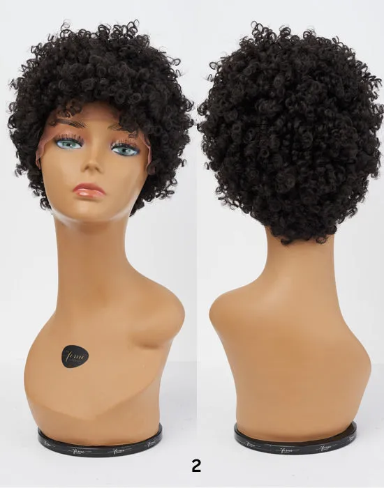 Feme Afro Lace Wig - Soft Natural Curl