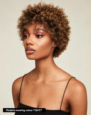 Feme Afro Lace Wig - Soft Natural Curl