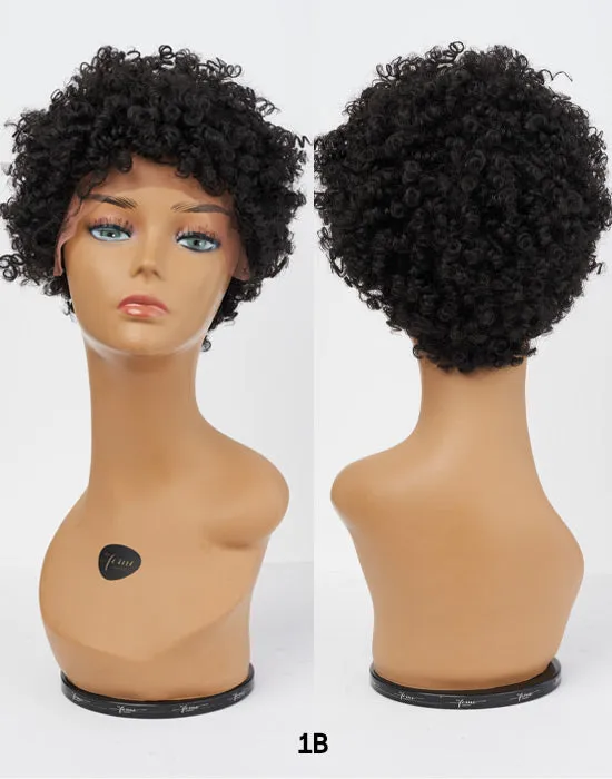 Feme Afro Lace Wig - Soft Natural Curl