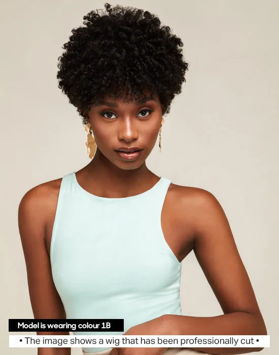 Feme Afro Lace Wig - Super Coiled Pixie