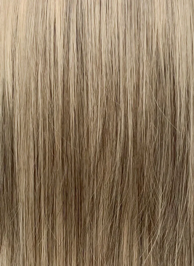 Medium Blonde Mixed Black Straight Synthetic Hair Wig NS588