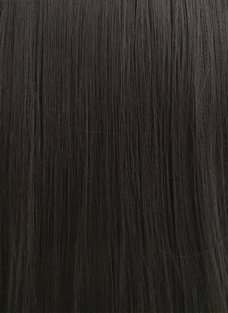 Straight Yaki Natural Black Lace Front Synthetic Wig LF701A